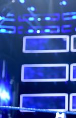 WWE - Smackdown Live! Digitals 11/29/2016