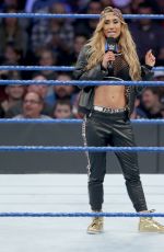 WWE - Smackdown Live! Digitals 11/29/2016