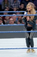 WWE - Smackdown Live! Digitals 11/29/2016