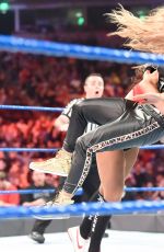 WWE - Smackdown Live! Digitals 11/29/2016