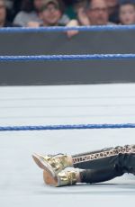 WWE - Smackdown Live! Digitals 11/29/2016