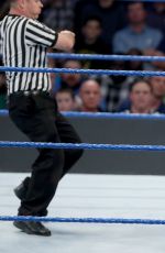 WWE - Smackdown Live! Digitals 11/29/2016