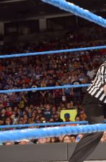 WWE - Smackdown Live! Digitals 11/29/2016