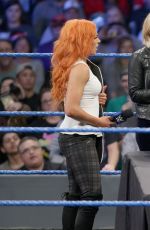 WWE - Smackdown Live! Digitals 11/29/2016