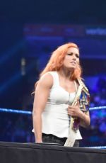 WWE - Smackdown Live! Digitals 11/29/2016