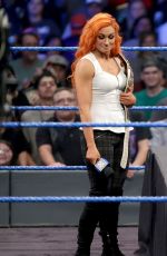 WWE - Smackdown Live! Digitals 11/29/2016