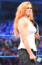 WWE - Smackdown Live! Digitals 11/29/2016