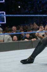 WWE - Smackdown Live! Digitals 12/06/2016