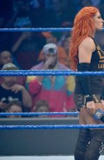 WWE - Smackdown Live! Digitals 12/06/2016