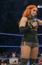 WWE - Smackdown Live! Digitals 12/06/2016