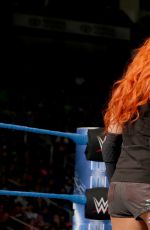 WWE - Smackdown Live! Digitals 12/06/2016