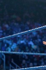 WWE - Smackdown Live! Digitals 12/06/2016