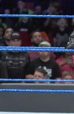 WWE - Smackdown Live! Digitals 12/06/2016
