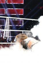 WWE - TLC 2016 Digitals