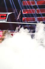 WWE - TLC 2016 Digitals