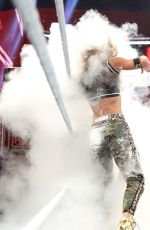 WWE - TLC 2016 Digitals