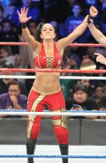 WWE - Tribute To The Troops 2016