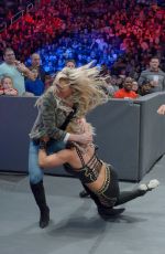 WWE - Tribute To The Troops 2016