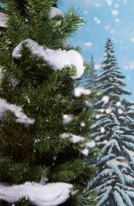 WWE - Winter Wonderland