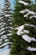 WWE - Winter Wonderland