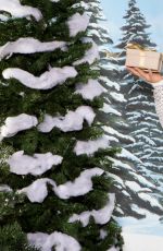 WWE - Winter Wonderland