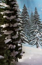 WWE - Winter Wonderland