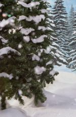 WWE - Winter Wonderland