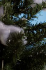 WWE - Winter Wonderland