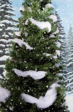 WWE - Winter Wonderland