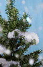 WWE - Winter Wonderland