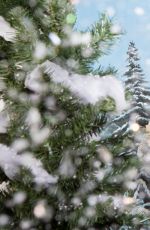 WWE - Winter Wonderland