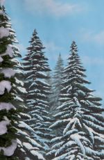WWE - Winter Wonderland