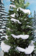 WWE - Winter Wonderland