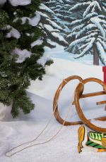 WWE - Winter Wonderland