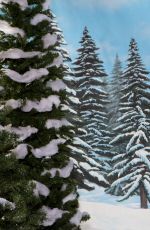 WWE - Winter Wonderland