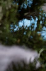 WWE - Winter Wonderland