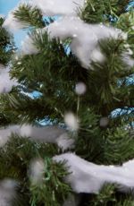 WWE - Winter Wonderland