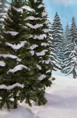 WWE - Winter Wonderland