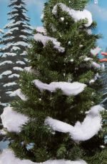 WWE - Winter Wonderland