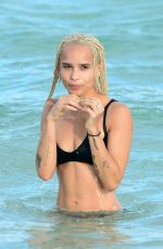 ZOE KRAVITZ in Bikini at a Beach in Miami 12/23/2016