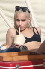 ZOE KRAVITZ in Bikini at a Beach in Miami 12/23/2016