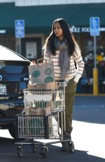 ZOE SALDANA Shopping at Whole Foods in Los Angeles 12/04/2016