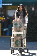 ZOE SALDANA Shopping at Whole Foods in Los Angeles 12/04/2016