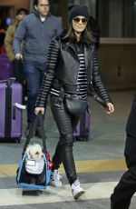 ABIGAIL SPENCER at Airport in Vancouver 01/03/2017