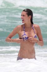 ALESSANDRA AMBROSIO in Bikini on the Beach in Florianopolis 01/12/2017