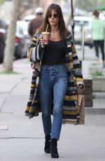 ALESSANDRA AMBROSIO Out for Smoothie at Juice Crafters in Los Angeles 01/18/2017