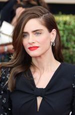 AMANDA PEET at 23rd Annual Screen Actors Guild Awards in Los Angeles 01/29/2017