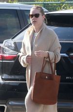 AMY ADAMS and Darren Le Gallo Out shopping in Beverly Hills 01/24/2017