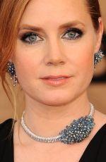 AMY ADAMS at 23rd Annual Screen Actors Guild Awards in Los Angeles 01/29/2017