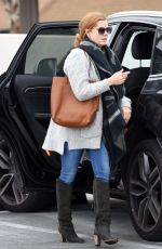 AMY ADAMS at Grocery Shopping in Los Angeles 12/31/2016